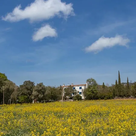 Mas Tinus - Laurel * Santa Cristina d'Aro